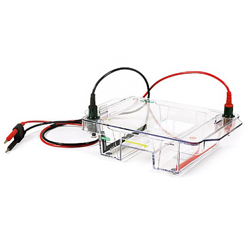 Электрофорез белков Bio-Rad Wide Mini-Sub Cell GT