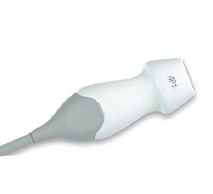 Siemens 4P1 секторный датчик УЗИ