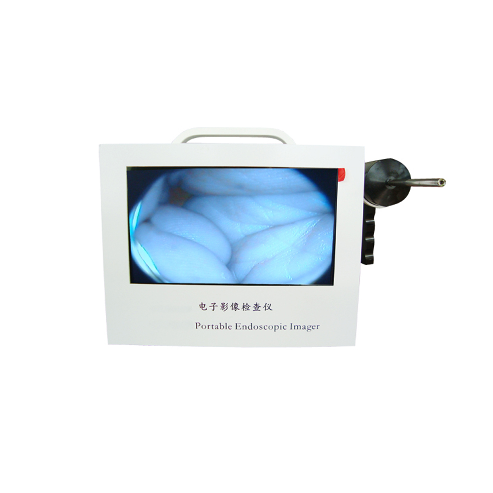 Ветеринарный отоскоп VO-420V