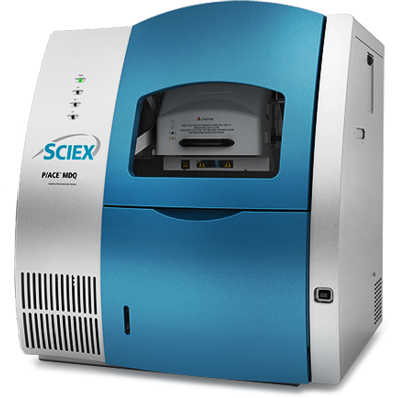 Электрофорез белков AB Sciex Pace MDQ