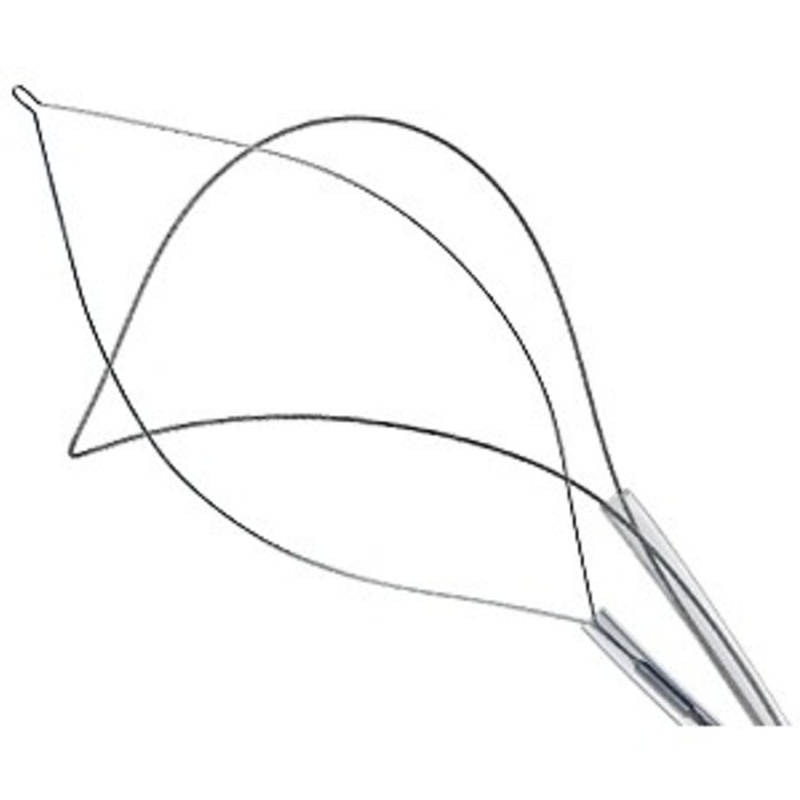 Эндоскопический инструмент Wilson Instruments Петли для полипэктомии